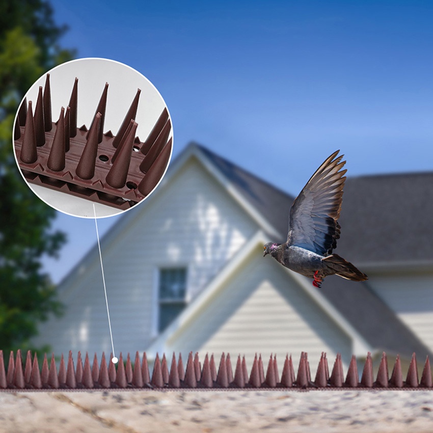 Plastic Bird Spike Wall Fence Spikes Yard Bird Spikes For Anti Climbing ...
