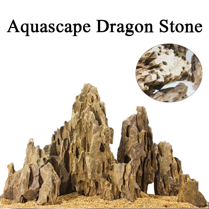 Dragon Stone Aquascaping Stone for Aquariums Decoration for Micro ...