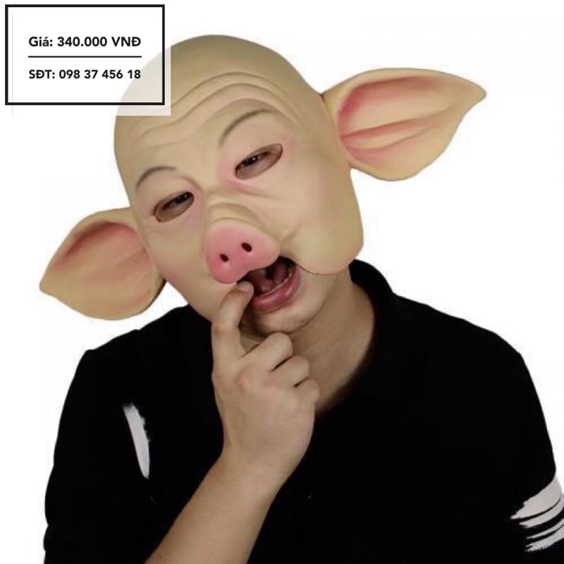 Eight precepts mask, eight precepts mask, cosplay costume in the movie ...