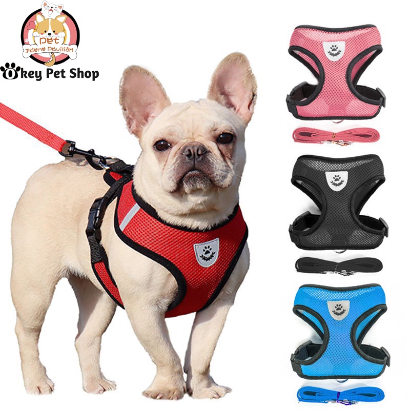 Dog leash with harness dog leash and collar leash for dog puppy leash