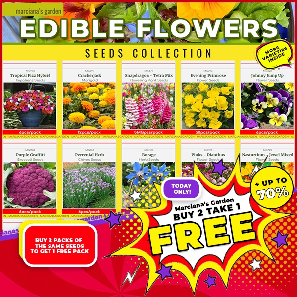 Edible Flower Seeds Collection Edible Flower Plant Seeds Edible