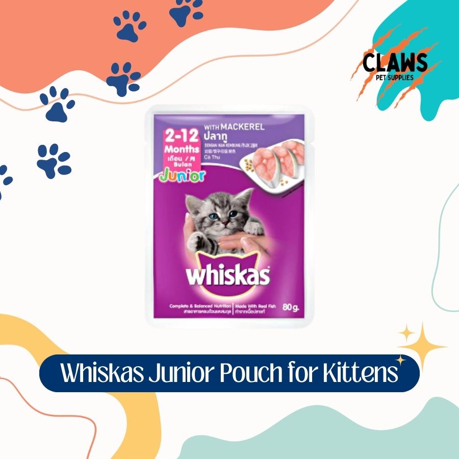 Whiskas junior hotsell wet food