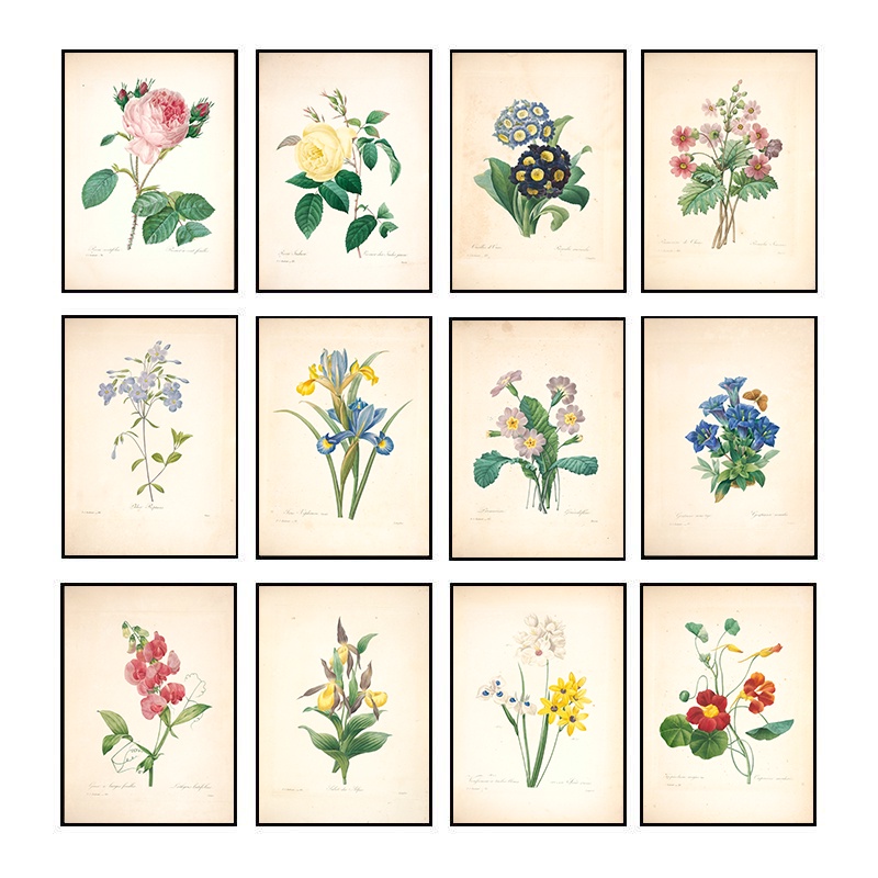 Vintage Botanical Poster Floral Canvas Painting Simple Wall Art Prints ...