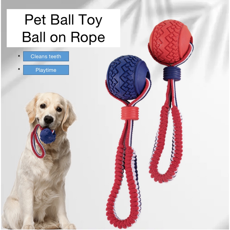 Dog Training Ball on Rope, Tug Ball Toy for Medium and Small Dog, Tough
