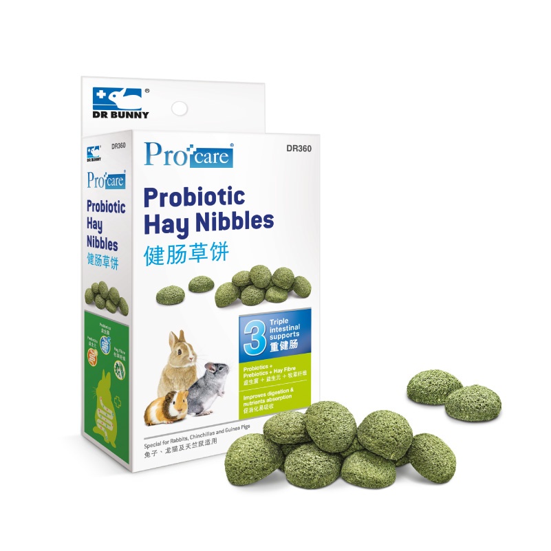 Dr. Bunny Probiotic Hay Nibbles 60g Treats for Guinea Pig and Rabbit Shopee Philippines