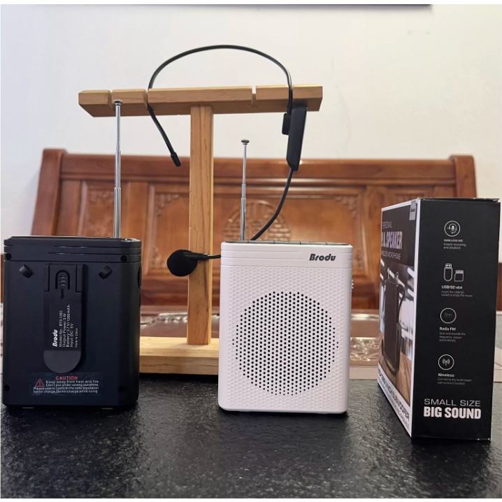 BTS-1383 Portable Wireless Microphone With Function FM/USB/TF/Speaker ...