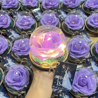 Tondo 2021 Plastic Clear Single Rose Flower Sleeve For Packing