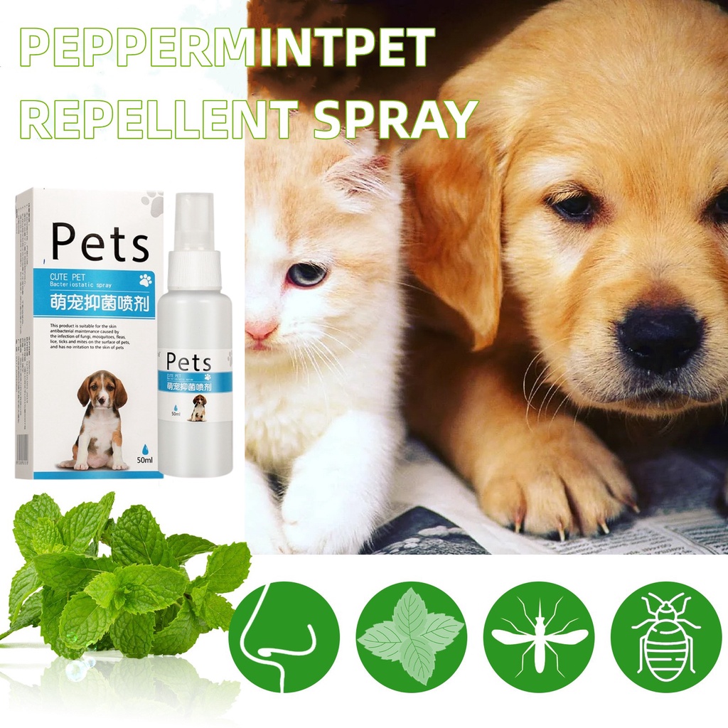 pet skin antifungal spray Treatment of dog dermatosis Treatment of
