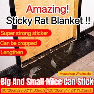 Shop mouse trap for big rats for Sale on Shopee Philippines