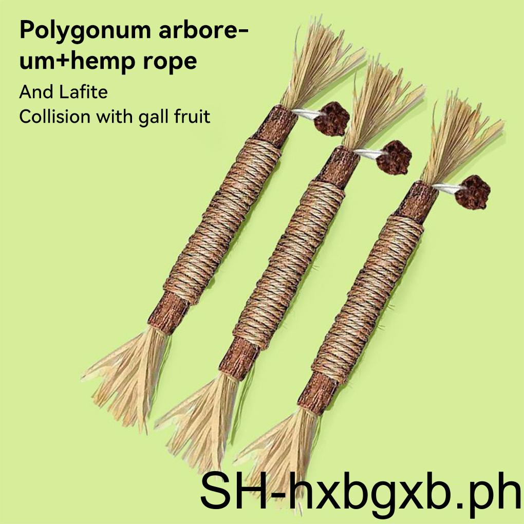 Stick Gall Long-Lasting Toy Molar Vivid Lightweight Funny Lovely ...