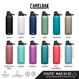  CamelBak Chute Mag 20oz Vacuum Insulated Stainless Steel Water  Bottle, Black : Sports & Outdoors