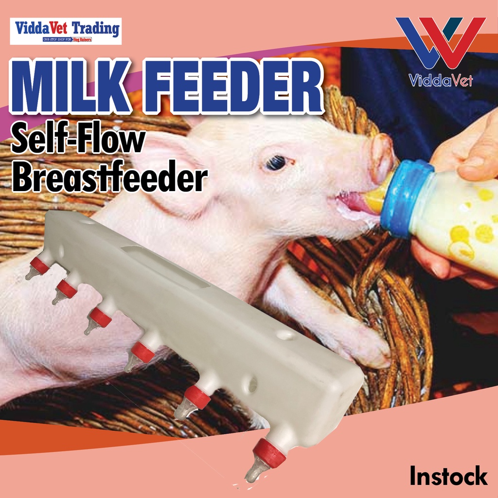 Milk feeder for piglet pig milk feeder piglet auto milk feeder milk