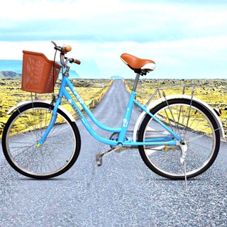 Womens bikes with discount basket for sale