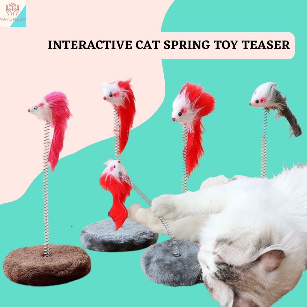 Cat Kitten Kitty Toy Scratch Spring Round Base Teaser Interactive Pet