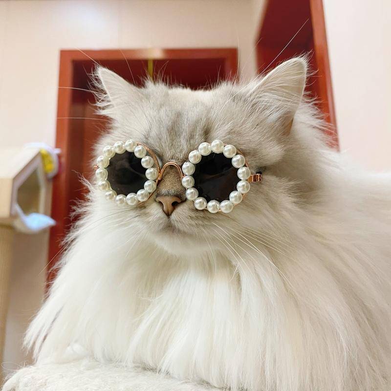 Pet Glasses Fashion Cute Dog Glasses Cat Glasses Puppy Eyeglasses Cat Eye Wear Protection Sunglasses I.709586154