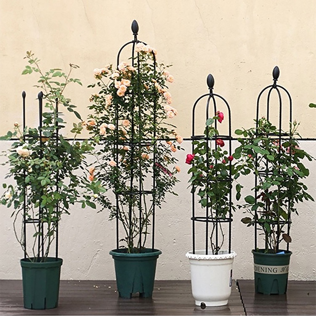 Rose Support Frame Climbing Plant Trellis Garden Tomato Support Cages ...