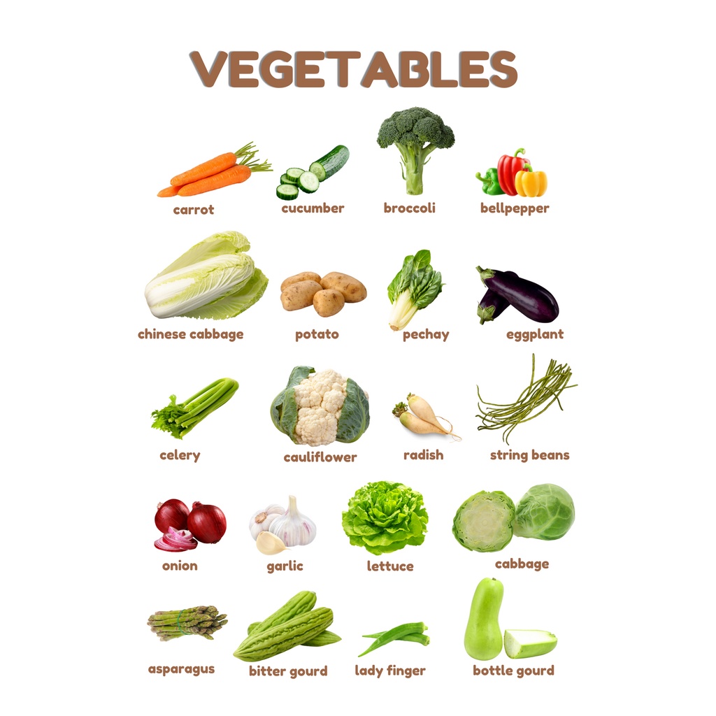 kids-educational-poster-laminated-chart-vegetables-shopee-philippines