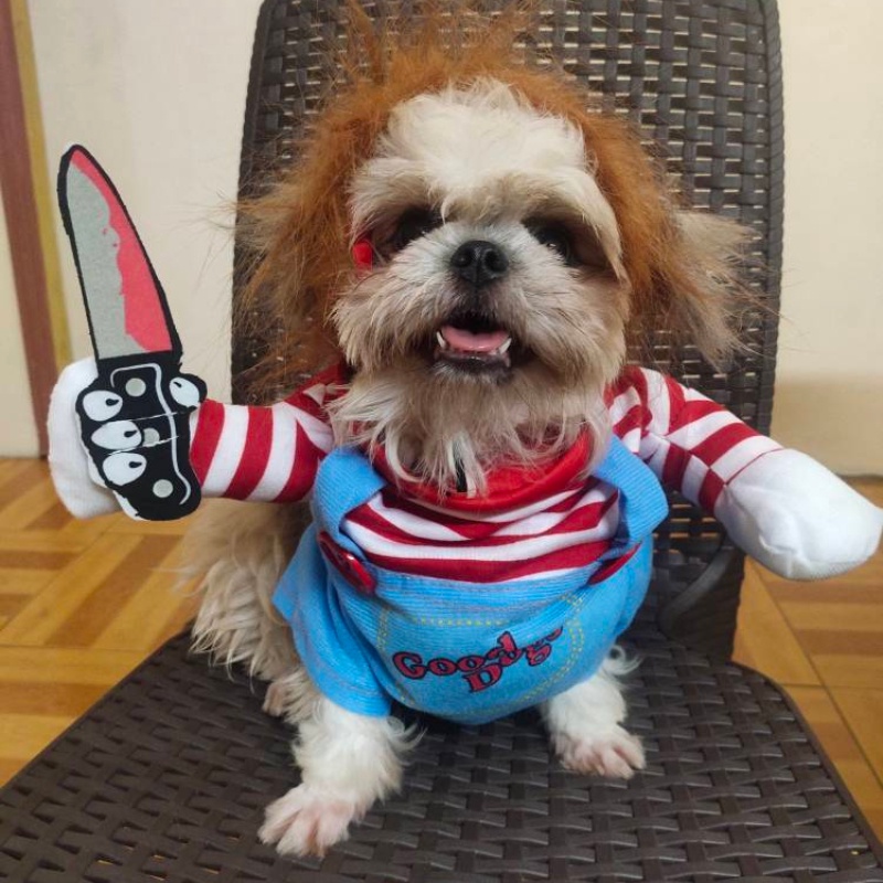 Dog Costume Chucky Pet Funny Clothes for Shih Tzu Halloween Scary