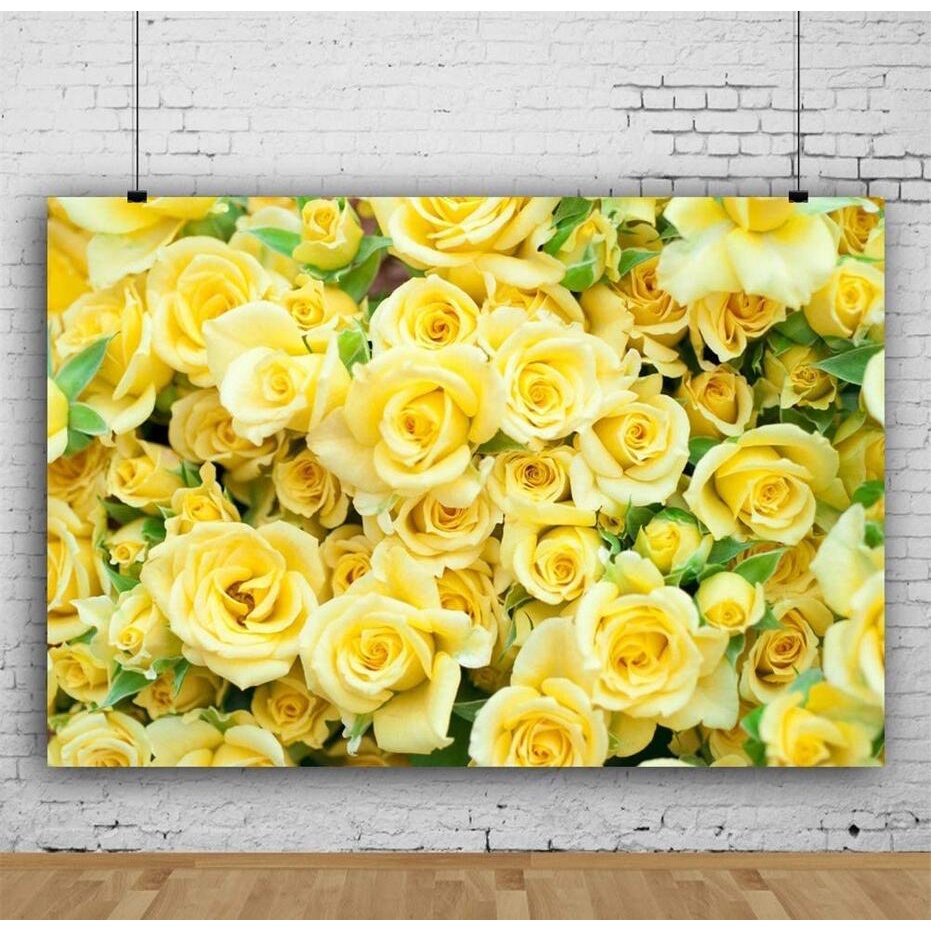 5x3ft Graceful Yellow Rose Flower Wall Vinyl Photography Backdrop ...