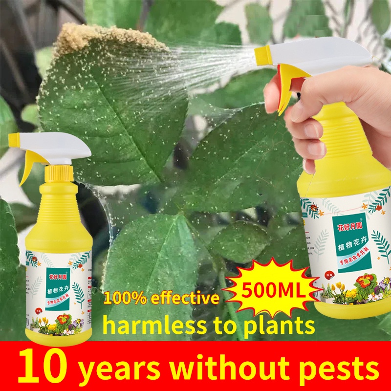  organic insecticides