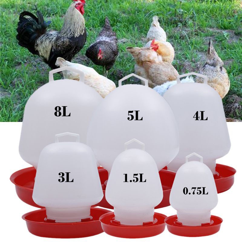 oultry farming drinking water tools Chicken Drinking Fountain Device ...