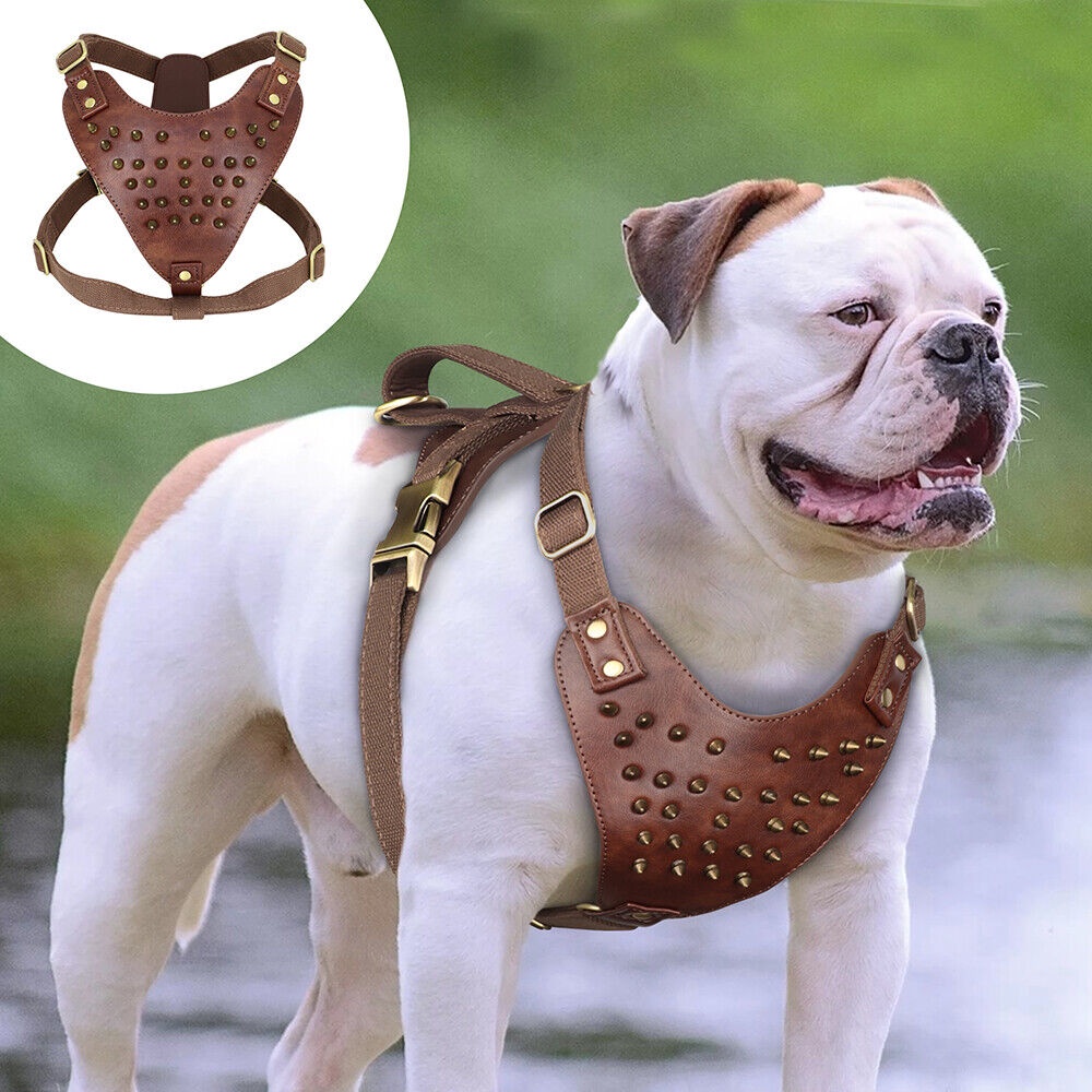 Dog best sale leather vest