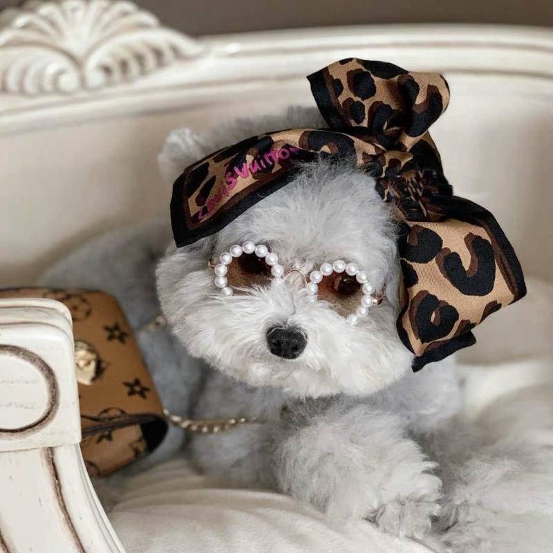 Funny Pet Glasses For Dogs & Cats - Retro Sunglasses For Party Cosplay & Photo Props