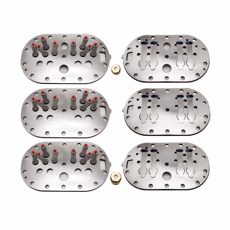 S6F30.240P S6F30.2Y40P Valve plate assy for Bitzer Refrigeration