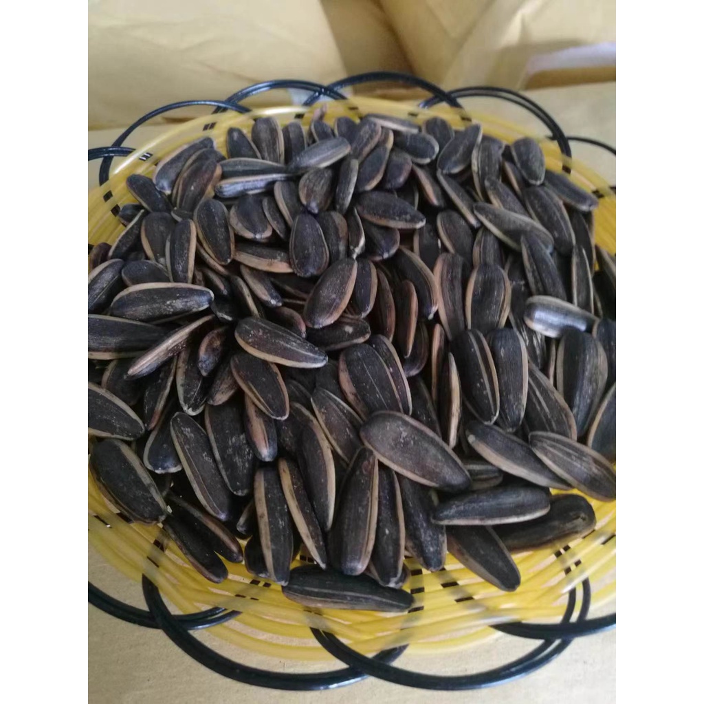 sunflower seeds BIG size caramel and plain Shopee Philippines