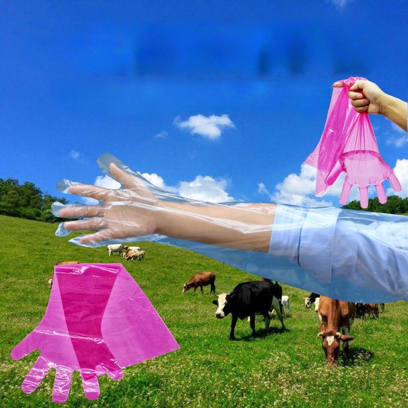 35.5inch Disposable Longarm Gloves Veterinary Artificial Insemination