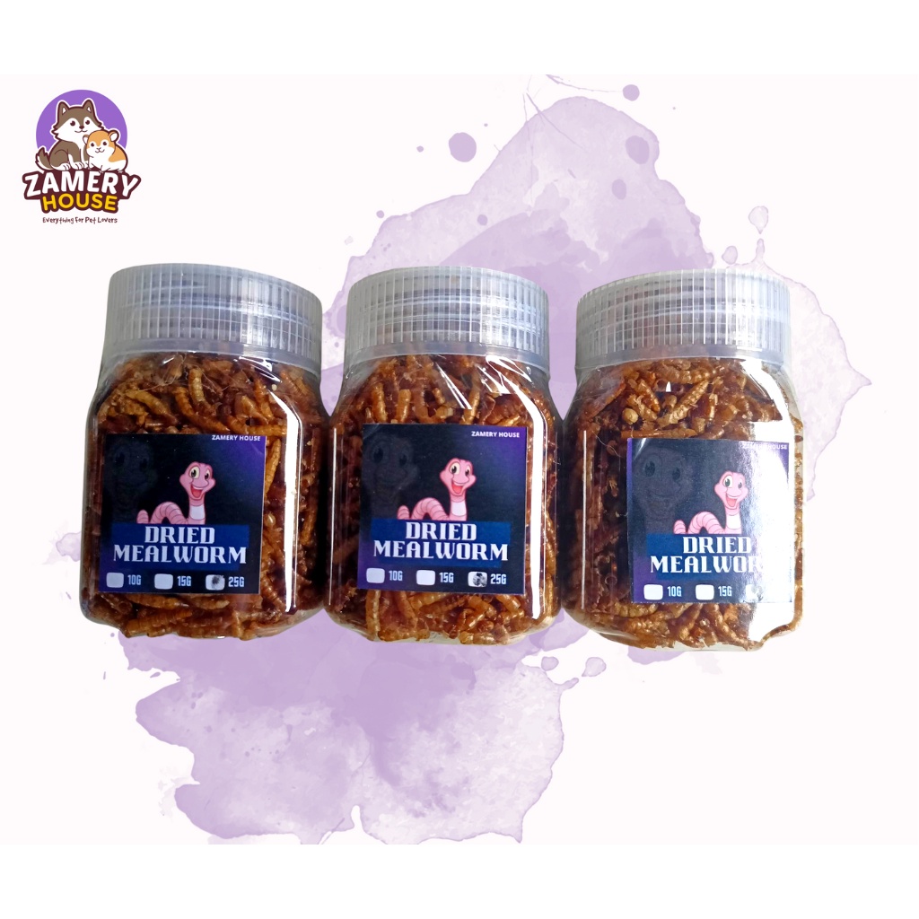 DRIED Mealworm best for hamsters (Pet Treats/Food) /protein food /dried