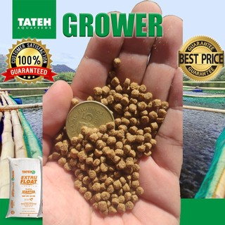 grower TATEH Aquafeeds 1sack floating pellet for Tilapia, Hito, Bangus ...