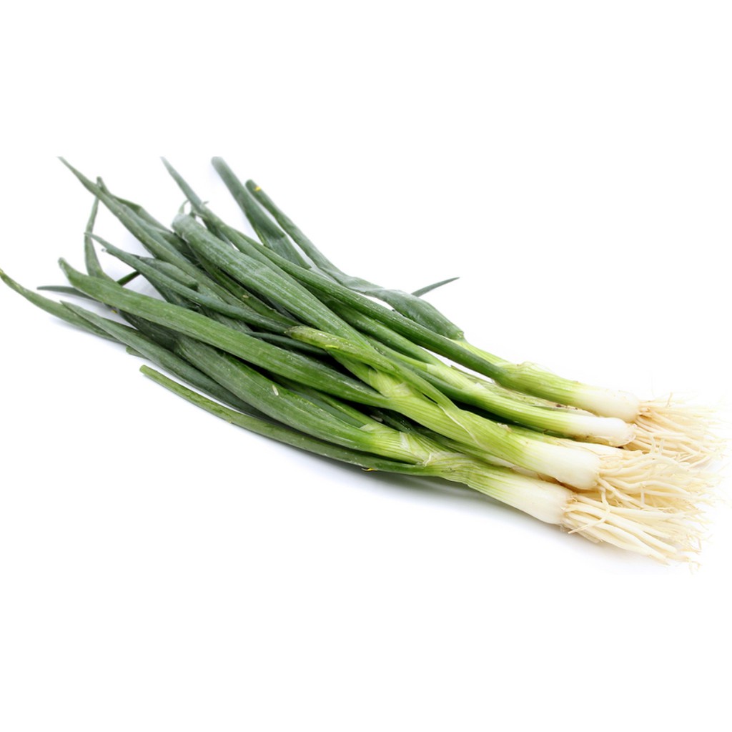 20PCS Wholesale Chinese Spring Onion / Scallion / Bunching Onion Dahong ...