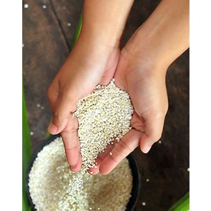 AGRICYN ADLAI RICE ORIGINAL (2.5 KGS PER PACK) | Shopee Philippines
