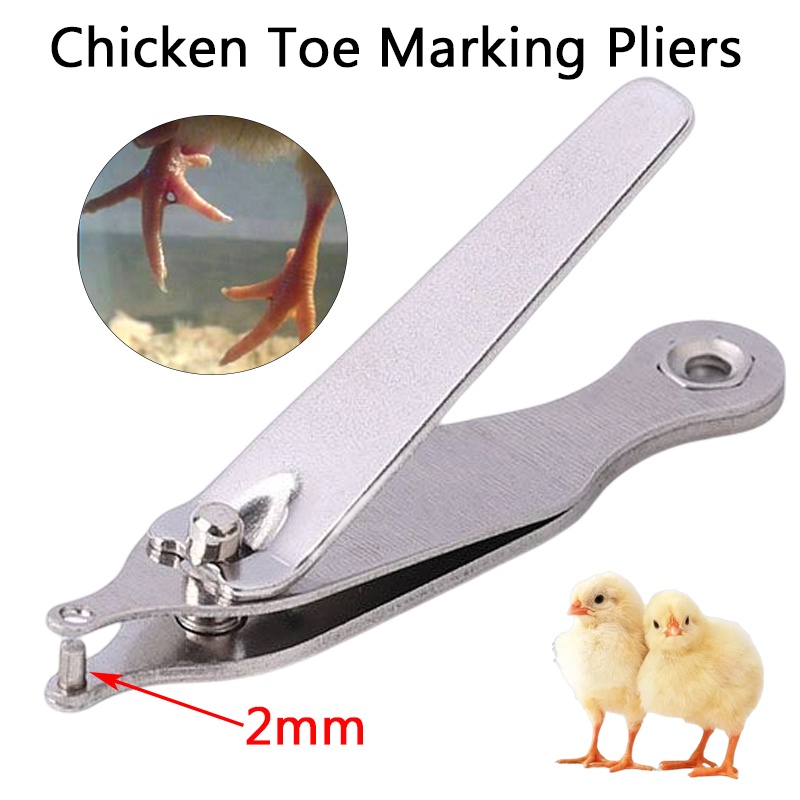 2mm Chick Toe Puncher Gamefowl Rooster Universal Punching Pliers Toe