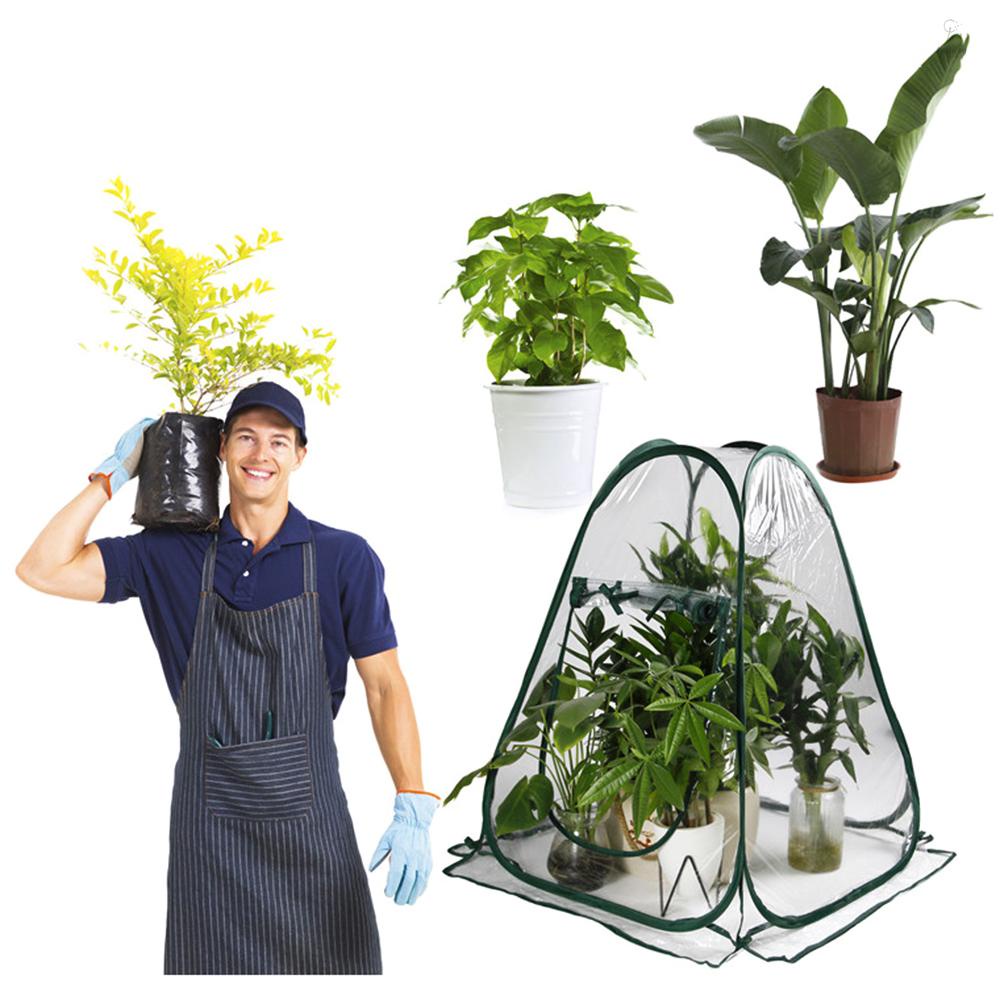 FLP Greenhouse Mini Plant Cover Pop Up PVC Greenhouses Backyard