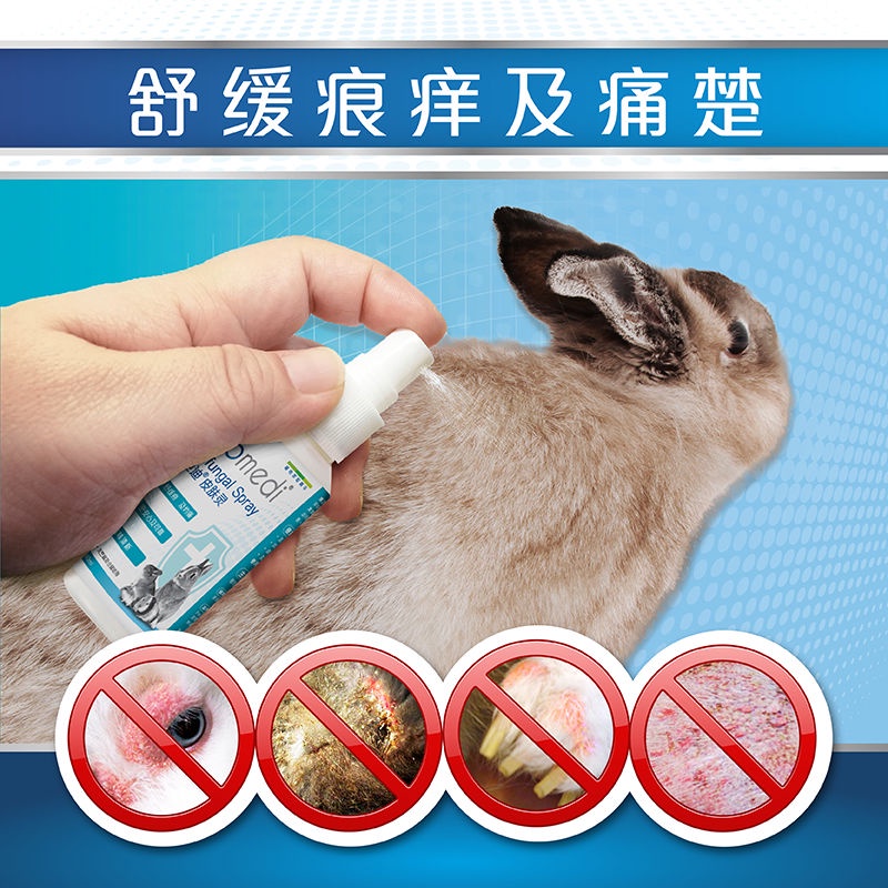 Dr. Rabbit DR301 Fungus Eliminate Guinea Pig Hamster My Neighbor Totoro