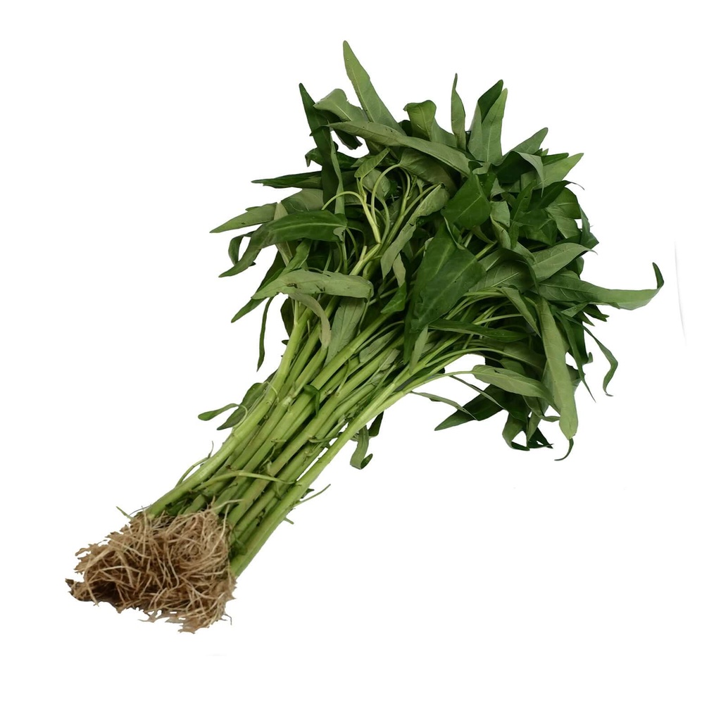 CHINESE KANGKONG SEEDS Shopee Philippines
