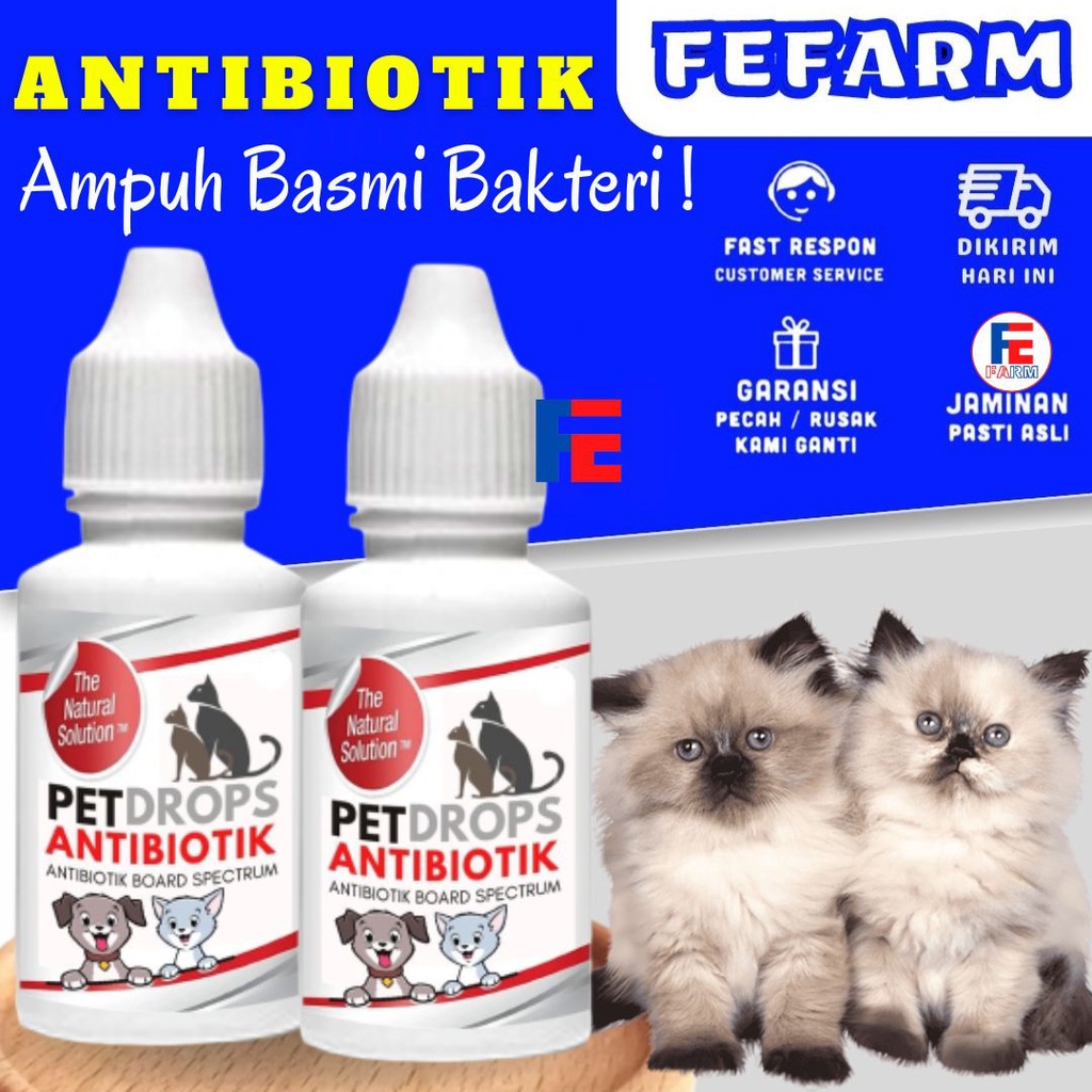 Antibiotic Cat Cat Cat Kitten Infection Antibiotic Pet Drops Effective Cat Shopee Philippines
