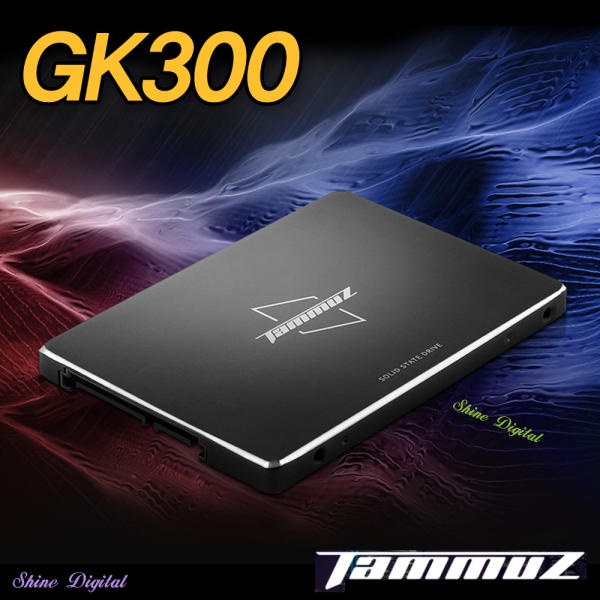 [MADE IN KOREA] Tammuz GK300 64GB 128GB 256GB 512GB 1TB / 2.5-Inch SATA ...