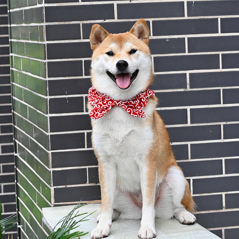Ruichai Pet Dog Cat Shiba Inu Scarf Japanese Style Tang Grass Pattern Bow Tie Scarf Collar Ornament vUH6 Shopee Philippines