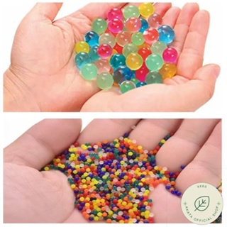 Orbeez Water Beads Gel Ball - Mega Pack 10000 PCS