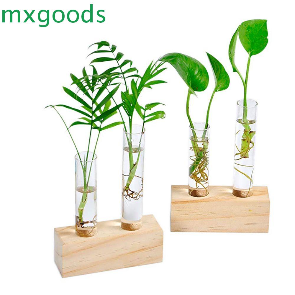 MXGOODS Test Tube Vase Transparent Wooden Stand Glass Vase Flower Vase