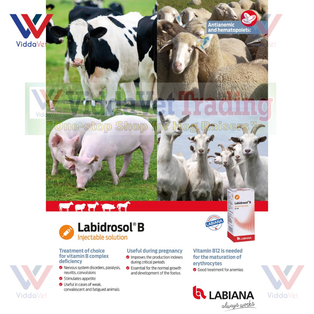 Viddavet Labidrosol B Vitamin B Complex I.njectable Solution for Pets