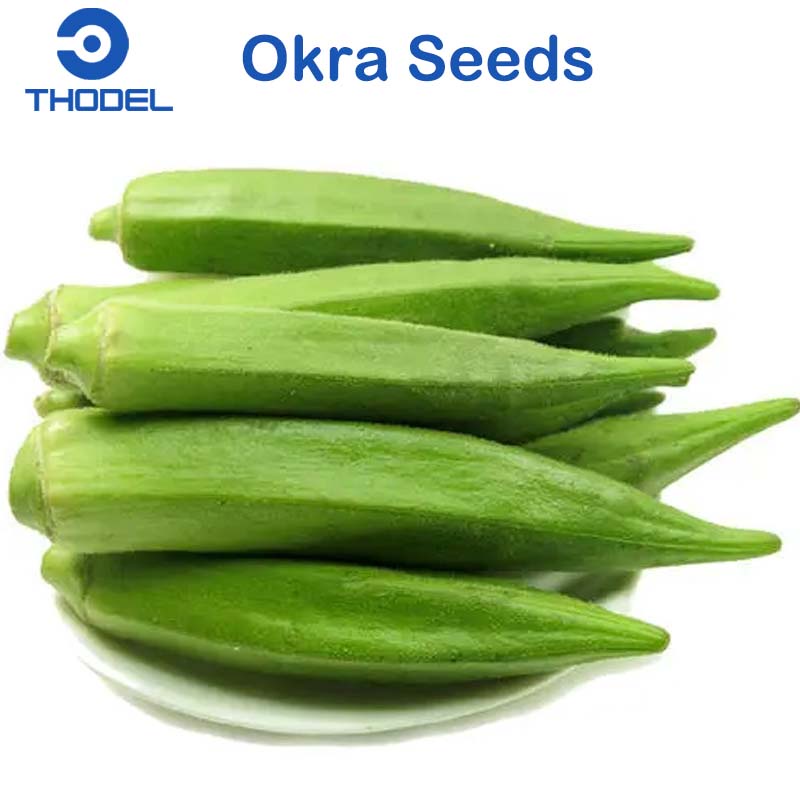 Okra Seeds 5pcs Seeds Smooth Greenhybridhigh Yield Vegetable Seeds