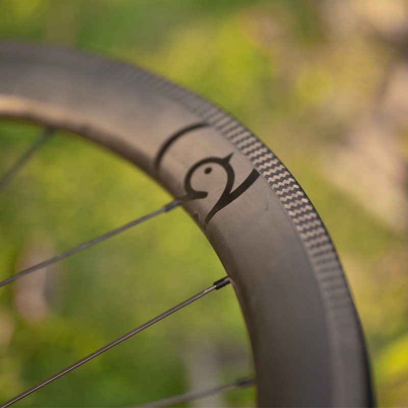 Fashion avian carbon rims