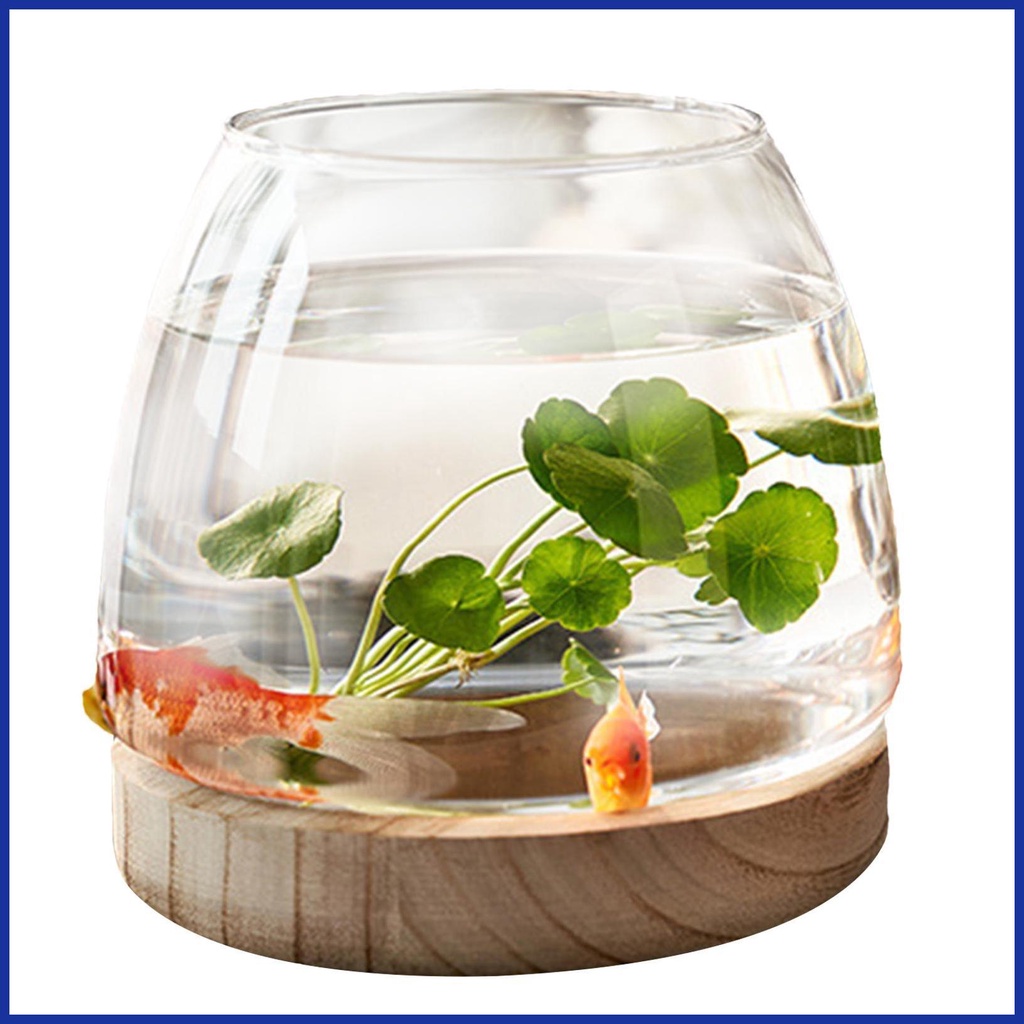 Glass Hydroponic Plant Terrarium Transparent Glass Fish Bowl Vase with