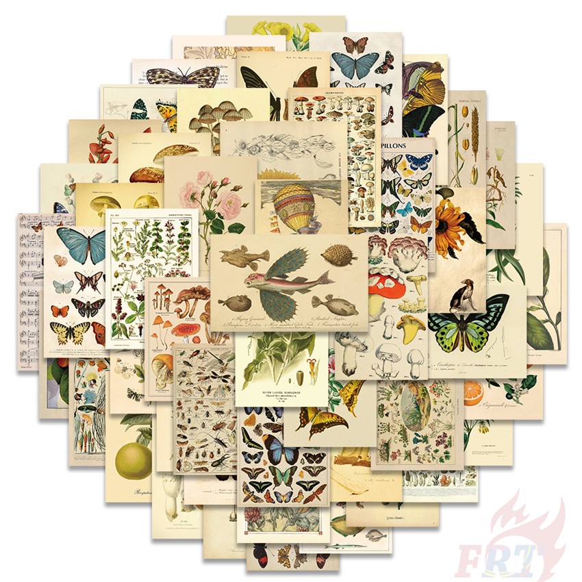50Pcs/Set Retro Forest Guide Art Series 01 Stickers DIY Fashion ...