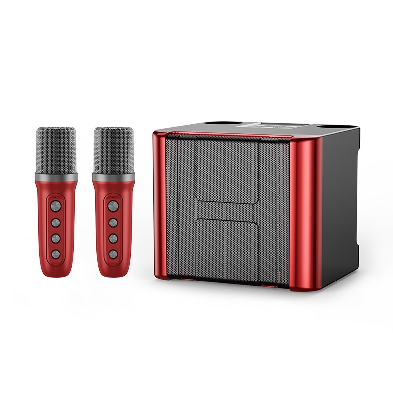 YS111 wireless karaoke speaker with two wireless microphone karaoke