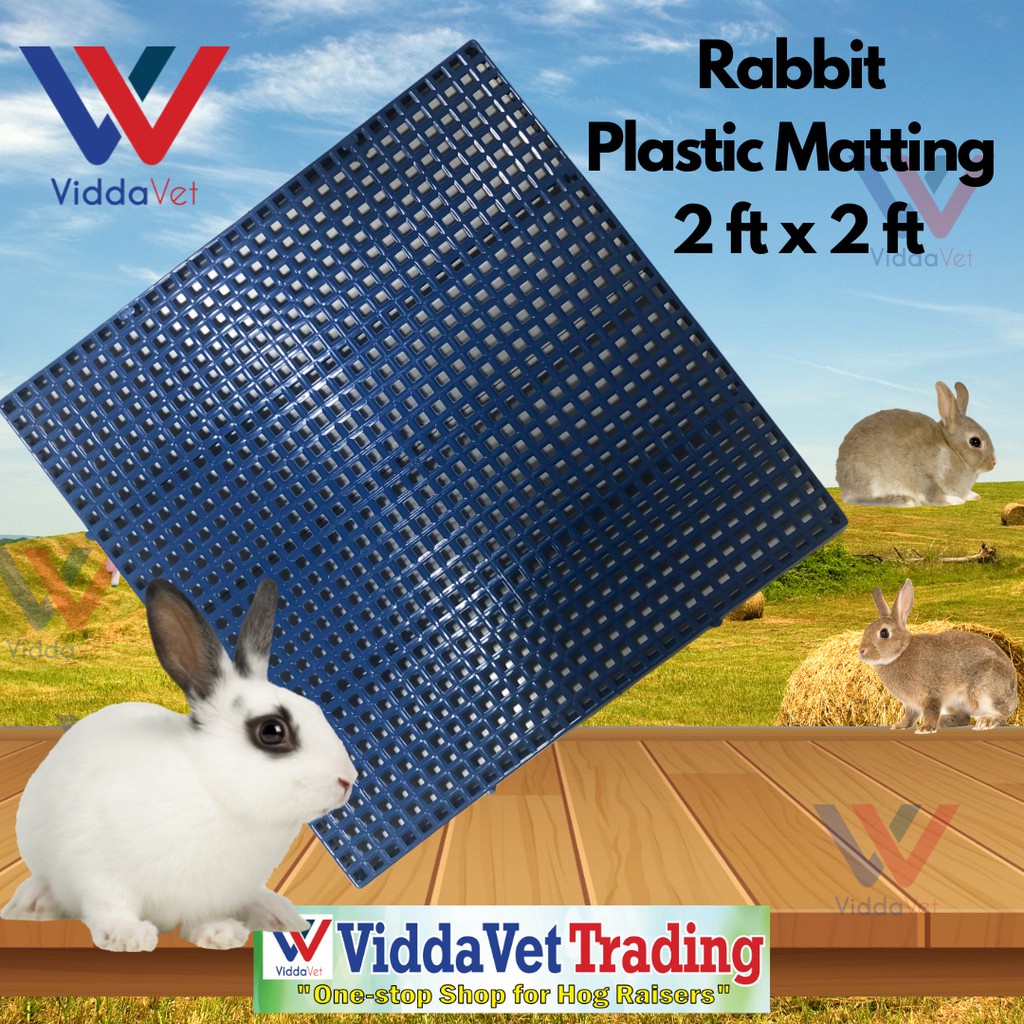 BLUE 2 ft X 2 ft Plastic Matting for Rabbits Heavy Duty Anti Sore hocks ...